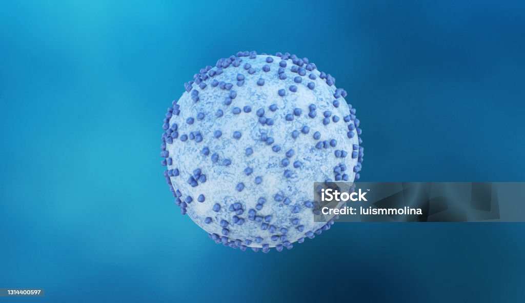 Pancreatic Cancer Cell Pancreatic Cancer Stock Photo