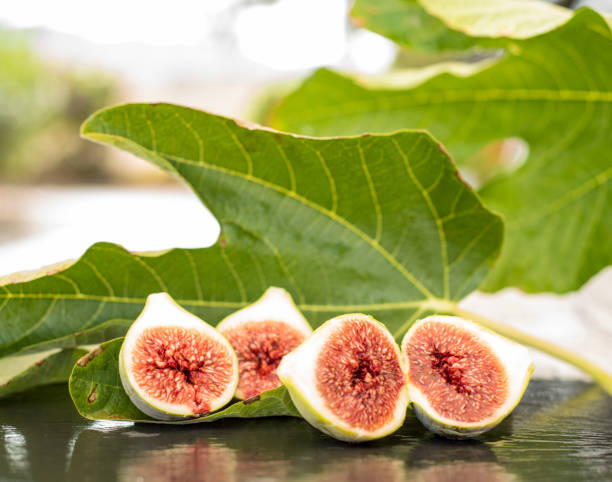 istock Figs split and ready to eat on the Mediterranean coast 1314402061