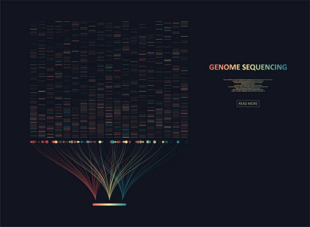 große genomische datenvisualisierung - gentest stock-grafiken, -clipart, -cartoons und -symbole