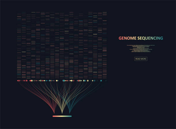 Big genomic data visualization Big genomic data visualization. DNA test, genom map. Graphic concept for your design genomics stock illustrations