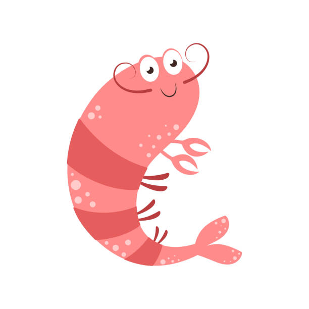 cute illustration with cartoon shrimp isolated on white shrimp animal cartoon character isolated on white background, cute vector illustration shrimp prepared shrimp prawn cartoon stock illustrations