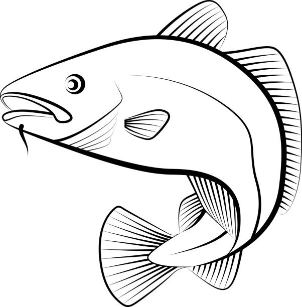 Ilustración de Pescado De Bacalao y más Vectores Libres de Derechos de Bacalao - Bacalao, Recortable, Contorno - iStock Ilustración de Pescado De Bacalao y más Vectores Libres de Derechos de Bacalao - Bacalao, Recortable, Contorno - iStock