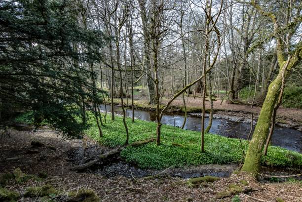 istock Flowing Water Of Quair Water. 1314408666