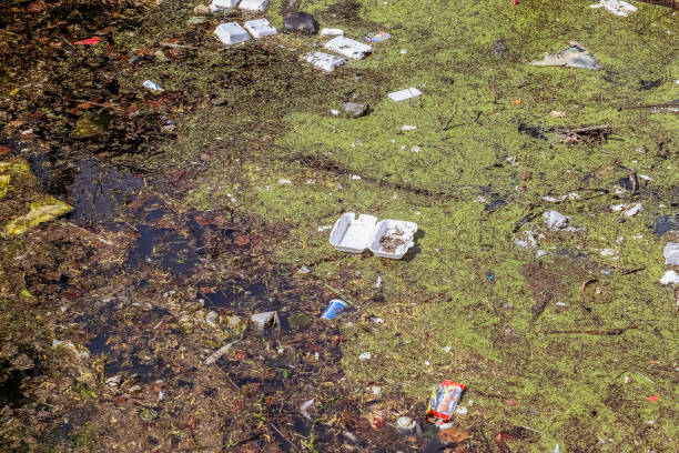 istock Environmental pollution found at a lake where people dumped their rubbish. 1314410233