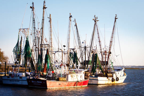 istock Charleston South Carolina and surrounding area 1314413111