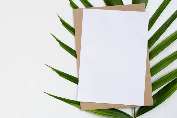 istock Blank paper on tropical palm leaves. 1314414048