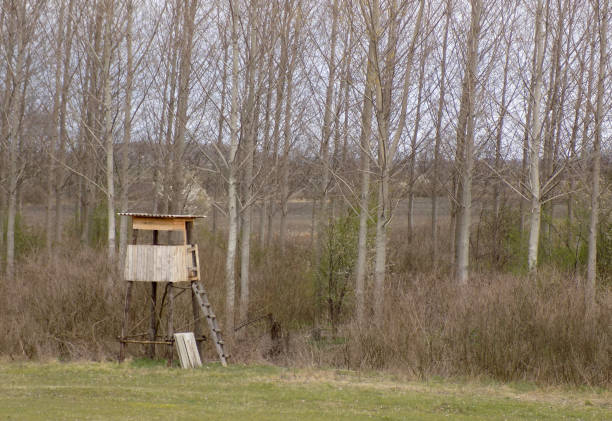 Shelter for hunting wait