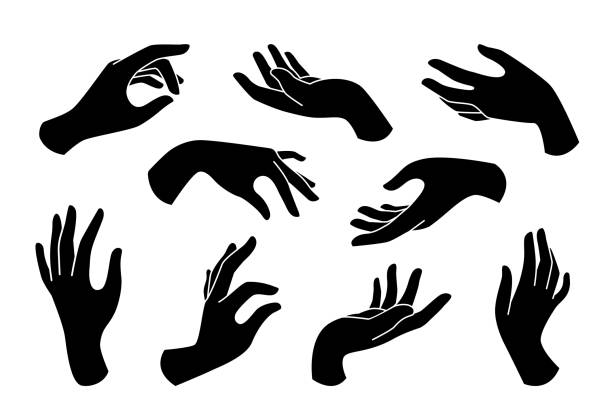 Hand drawn boho set of elegant female hands icons in silhouette isolated on white background. Hand drawn boho set of elegant female hands icons in silhouette isolated on white background. Collection of different hand gestures. Vector flat illustration. Design for cosmetics, jewelry,  manicure human finger illustrations stock illustrations