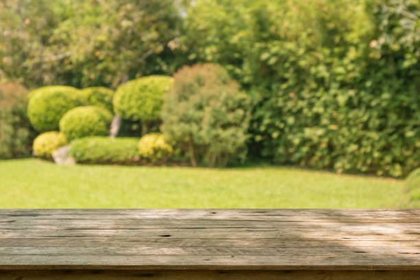 istock Empty wood table top with abstract blur park garden background 1314423589