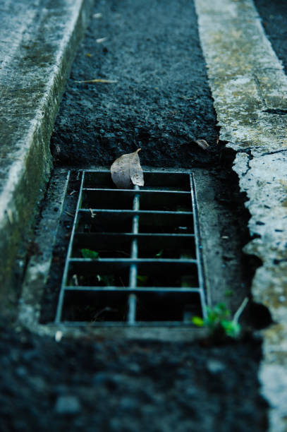 istock Drain grating on street 1314426203