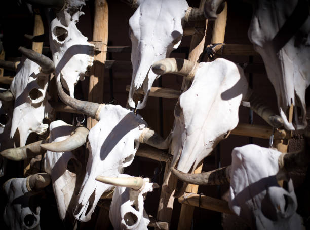 istock Santa Fe Style: Cow Skulls Hanging on Ladders 1314427100