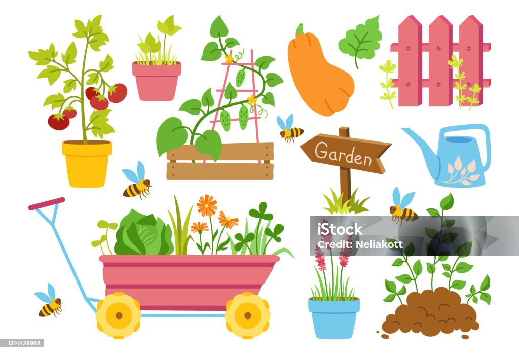 Garden Tools Seedling Farm Set Cartoon Vector Stock Illustration - Download  Image Now - Planting, Pumpkin, Advice - iStock