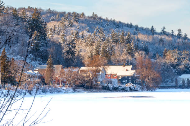 istock Hillside houses and red barn amidst snow covered trees 1314433331
