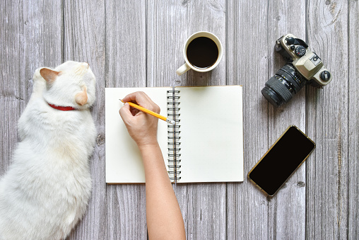 Still life, business or traveler memo concept, Top view image of open notebook with vintage camera coffee smartphone and cat disturb with blank pages on old brown wooden background