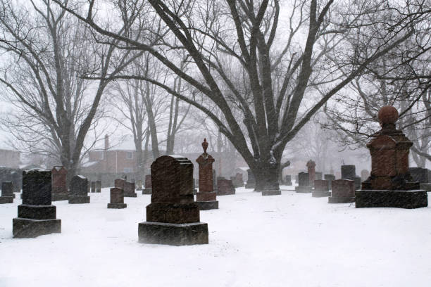 istock Snow in the stouffville Cemetery 1314436359