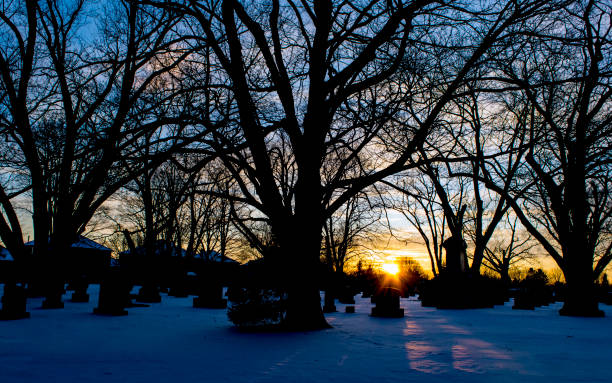 istock Snow in the stouffville Cemetery 1314437014