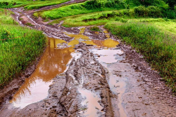 istock Tire tracks on a muddy road in the countryside 1314438241