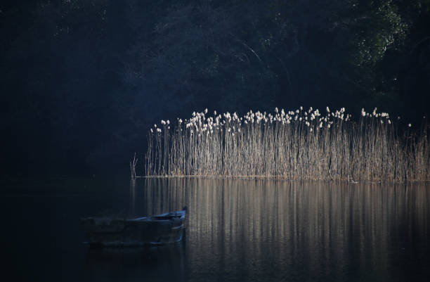 Beautiful views of Saint Naum area in Lake Ohrid, Macedonia.