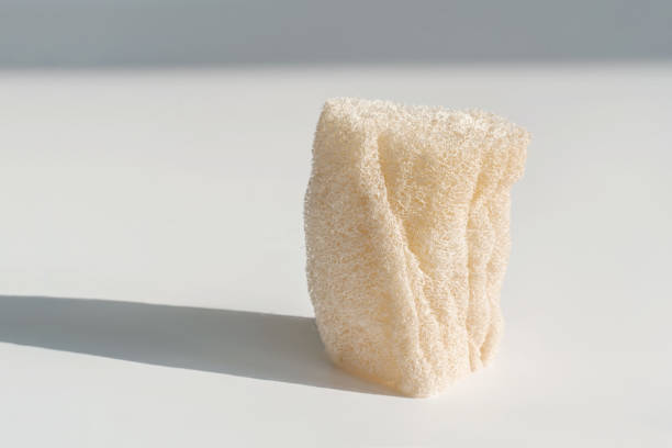 istock Loofah natural sponge on the white background. 1314453269