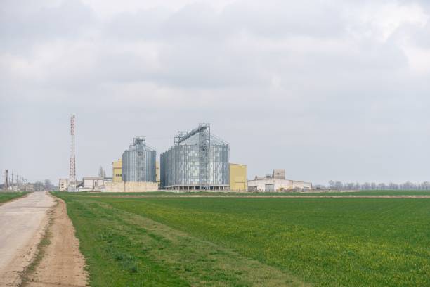 istock Grain elevator. Metal grain elevator in agricultural zone. Agriculture storage for harvest. Grain elevators on green nature background. Exterior of agricultural factory 1314454124