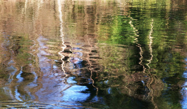 istock Reflection on the water at Saint Naum area 1314454280