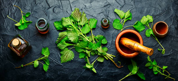 istock Glass bottle of nettle tincture,long banner 1314456325