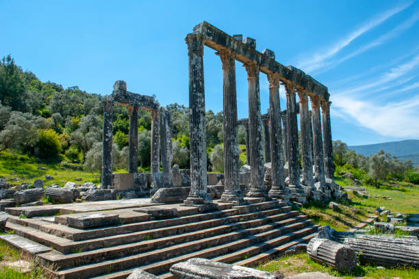 euromos ancient city, turcja - architecture anatolia ancient civilization ancient greece zdjęcia i obrazy z banku zdjęć