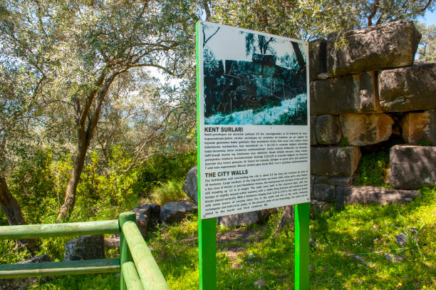 istock Euromos Ancient City, Turkey 1314458675