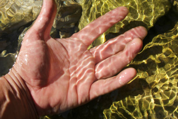 istock Hand and natural mountain waters 1314458714