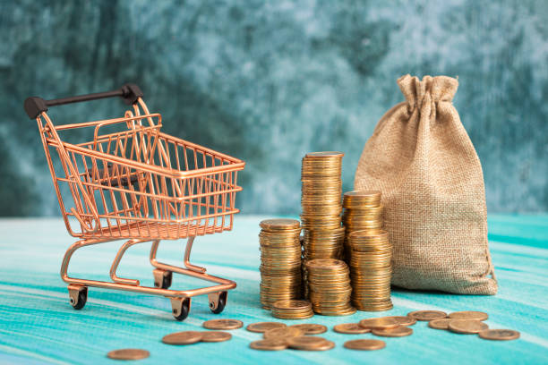 istock saving money with coins and bag 1314459650