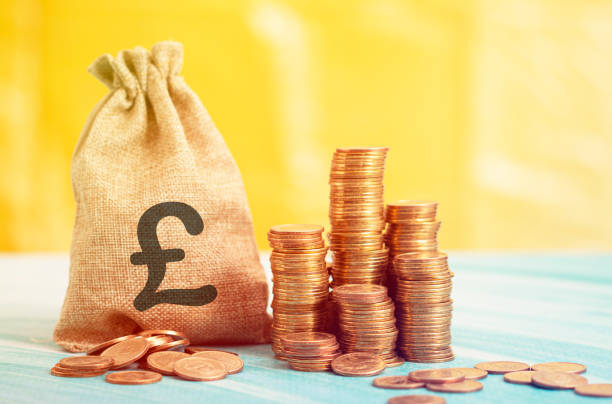 istock ponds in a money bag 1314459658