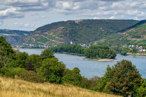 istock The Middle Rhine Valley near Lorch, Germany 1314459669