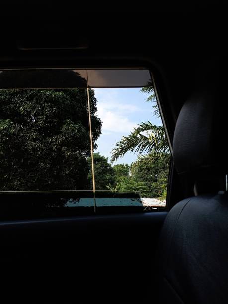 istock tropical forest by the roadside. 1314461930