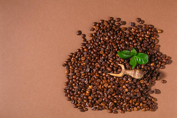 istock Roasted brown coffee beans on a brown background. 1314462025