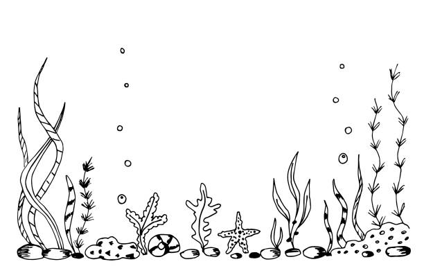 prosty ręcznie rysowany rysunek wektorowy w czarnym konturze. podwodny świat, dno morskie, natura. alg wodorostów, koralowców rafowych, pęcherzyków. do drukowania etykiety sprzętu wędkarskiego, akwarium. - doodle fish sea sketch stock illustrations