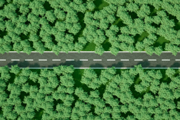 istock Aerial View of a Forest Road 1314464159