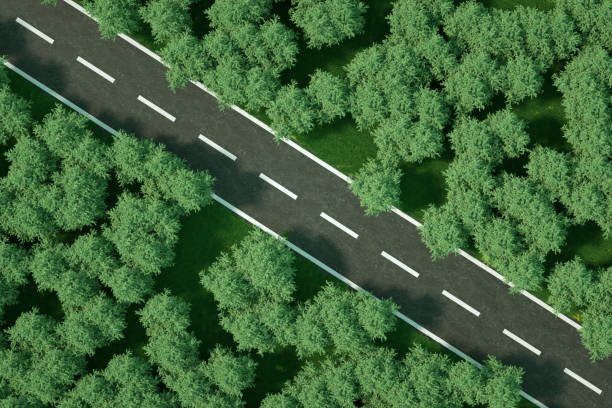 istock Aerial View of a Forest Road 1314464249