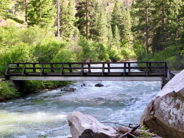 istock Loon Creek Hiking Bridge, Middle Fork of the Salmon River 1314465821