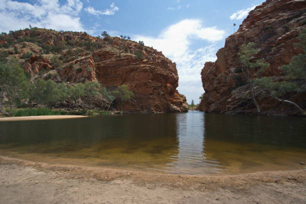 ellery creek big hole in west macdonnell ranges im northern territory, australien - ellery creek stock-fotos und bilder