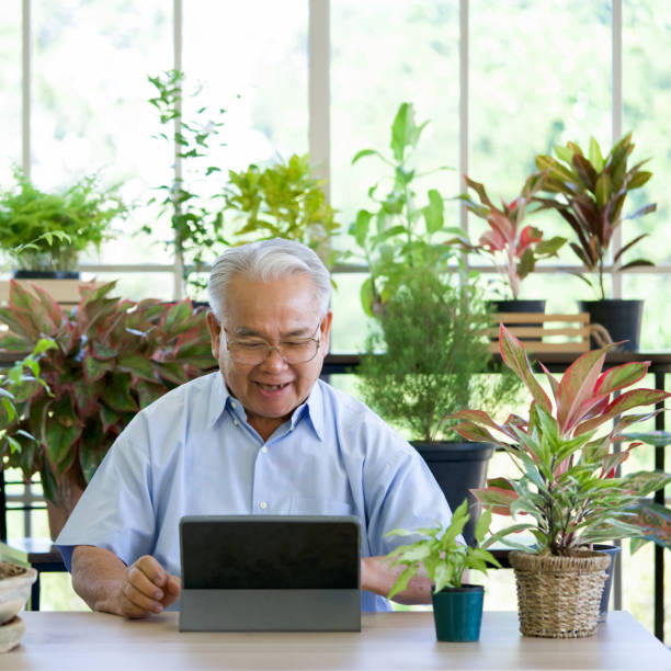 A retired old man use wireless communication via a tablet computer to inquire about indoor garden care from botanist. The morning atmosphere in the greenhouse planting room.