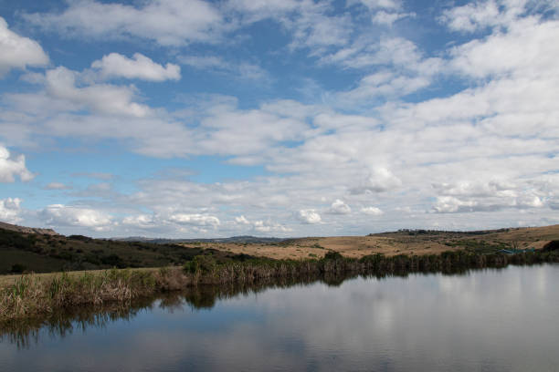 istock Clouds and Blue Sky Reflected on Surface of Rural Pond 1314466833