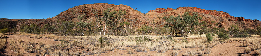 Landscape in Ruby Gap Nature Park in East MacDonnell Ranges, Northern Territory, Australia