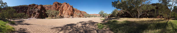 landscape in ruby gap nature park in east macdonnell ranges, northern territory, australia - northern territory macdonnell ranges australia eucalyptus imagens e fotografias de stock