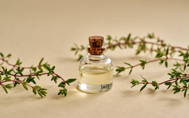 istock Essential oil bottle with fresh thyme on pastel yellow background 1314469794