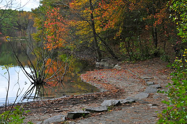 istock Shoreline of Walden Pond 131446984