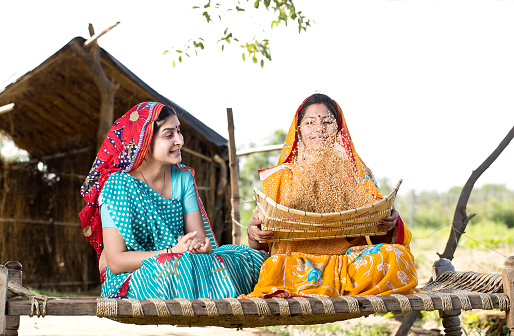 Two rural women tossing and cleaning wheat grain together at village