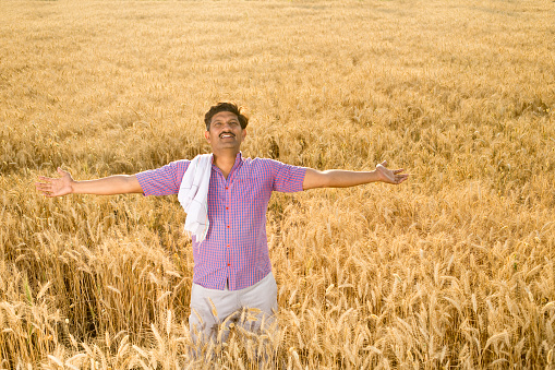 Happy rural farmer with arms outstretched in agricultural field
