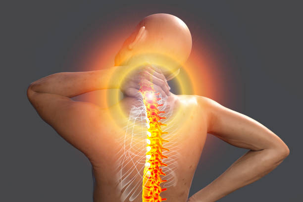 боль в шее, иллюстрация - back rear view pain physical injury стоковые фото и изображения