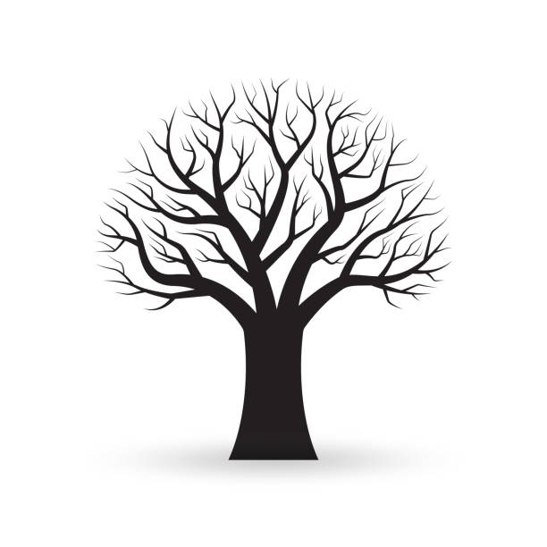 ilustrações de stock, clip art, desenhos animados e ícones de tree with naked branches. autumn or winter bare tree silhouette. vector illustration. - abstract autumn bare tree empty