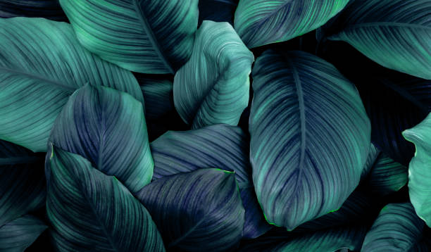 istock Full Frame of Green Leaves Texture Background. 1314476188